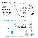 RT-4GCAT1-1FE-(2).webp